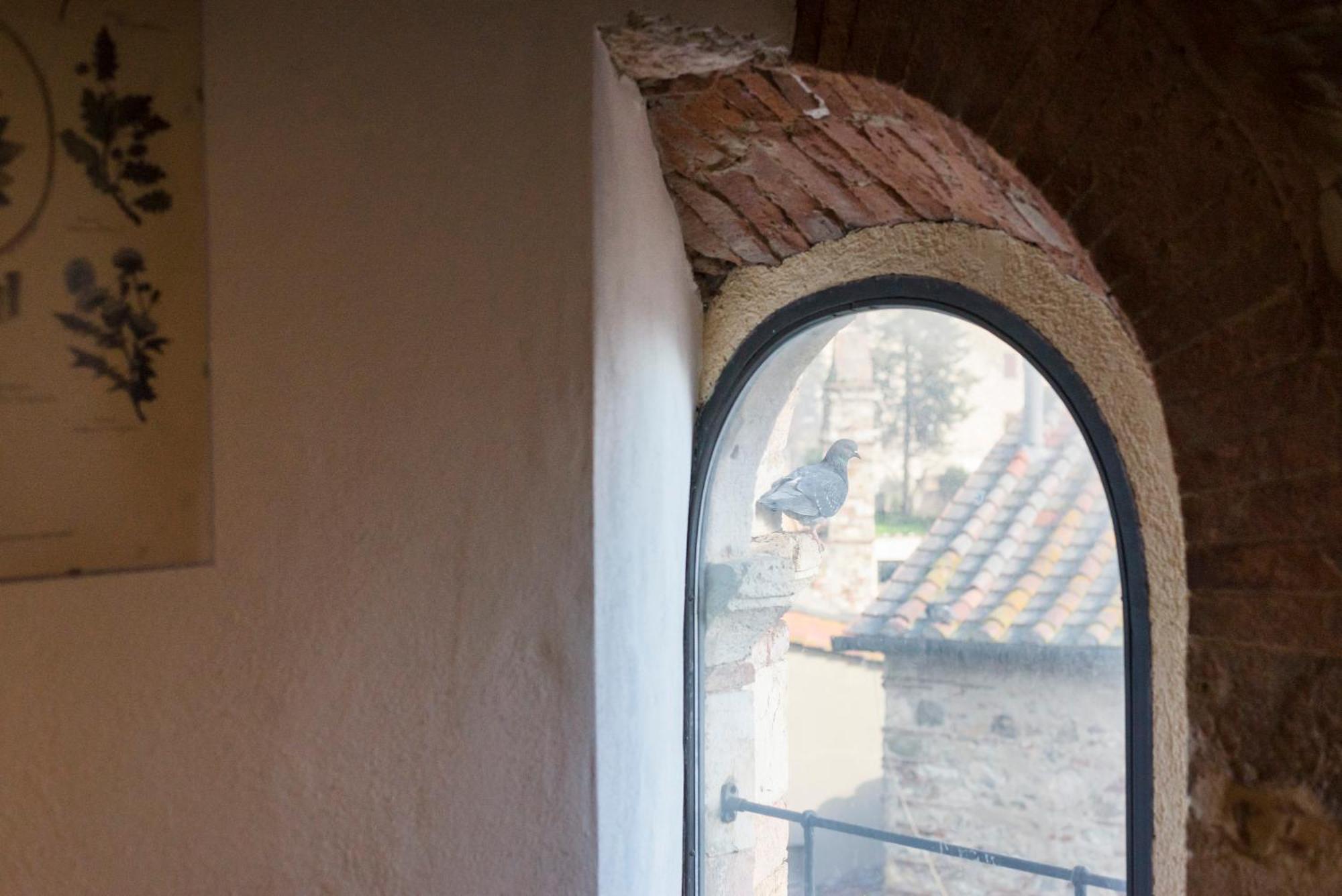 Il Chiostro Appartamenti & Suites Suvereto Exterior photo